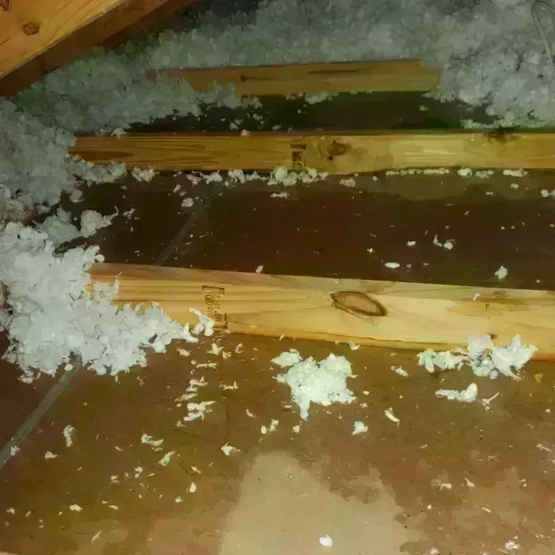 Attic Water Damage in Davidson County, NC